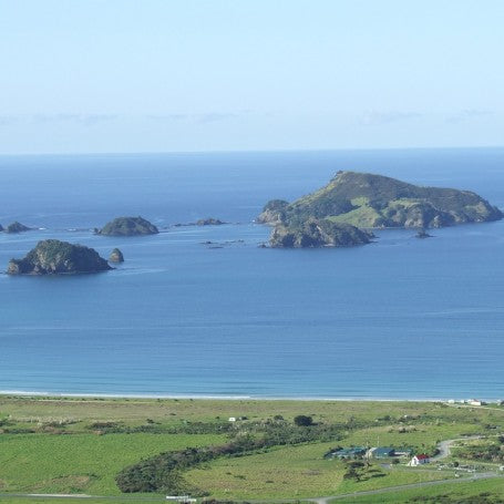 Plenty of Variety on offer in the Far North.