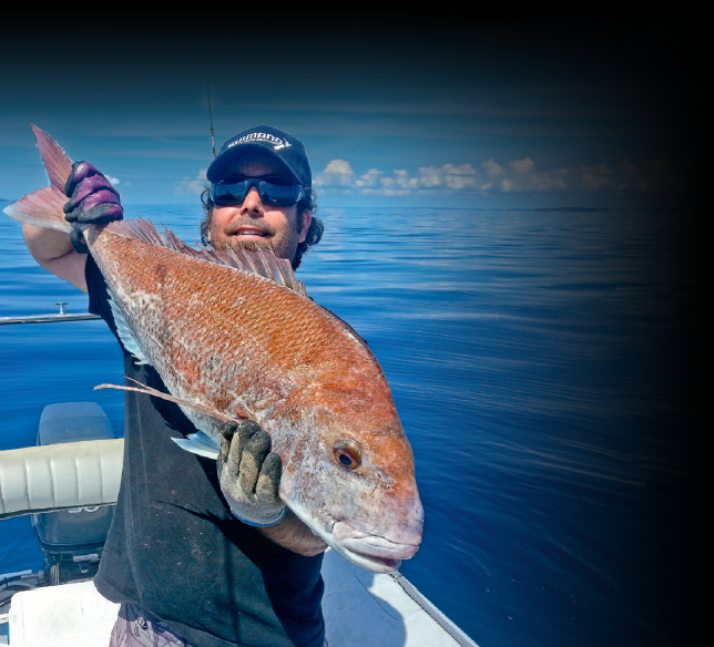 The slow-pitch revolution!