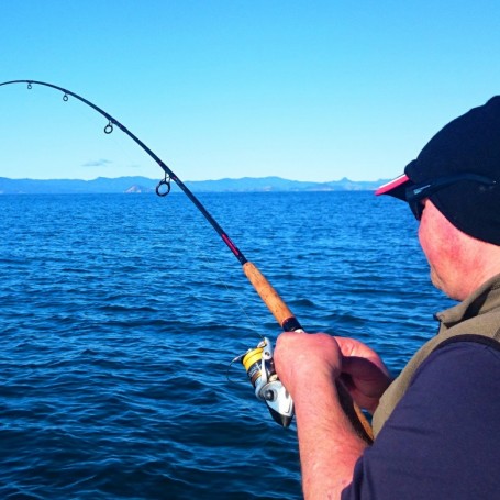 Bottom End Waiheke 24th August