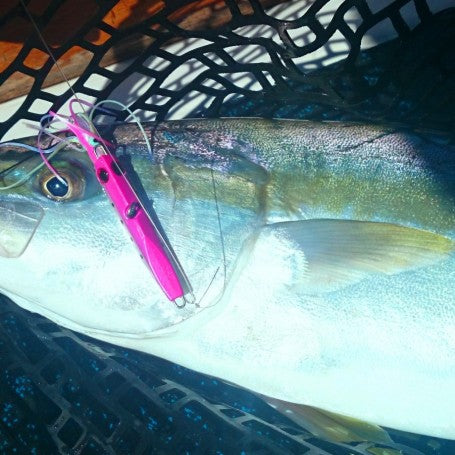 Spring Workups at 42 meters