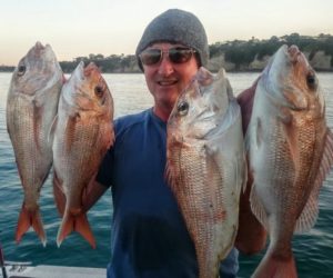 Straylining off Takapuna Cliffs