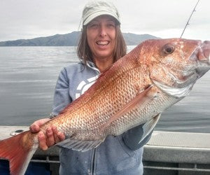 Where are the Autumn workups?