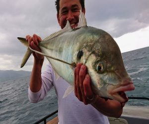 Top of the Coromandel