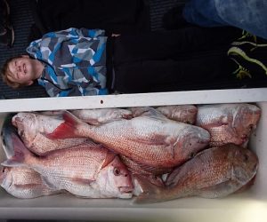 Spring workups in full swing now