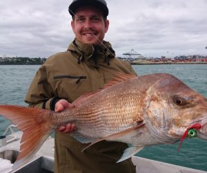 Great Inner Harbour fishing at moment