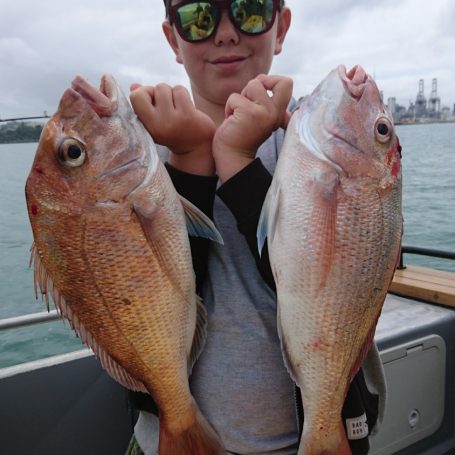 More great inner harbour fishing