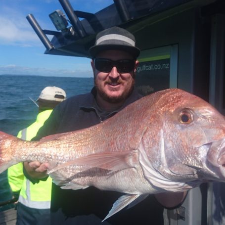 Home again and back into it