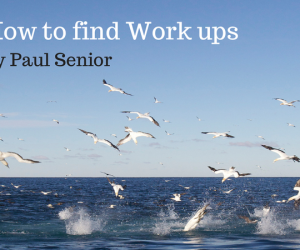 Addicted to work up fishing