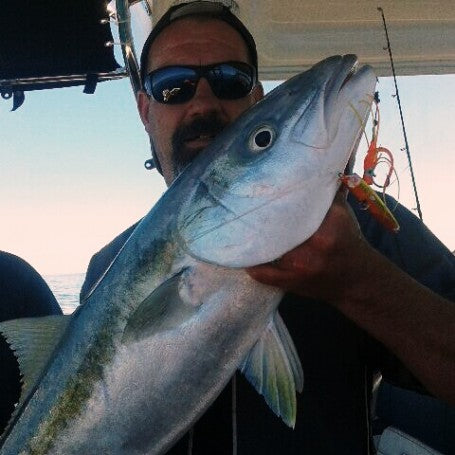 36.30 – 175.05 Kings KY and Snaps