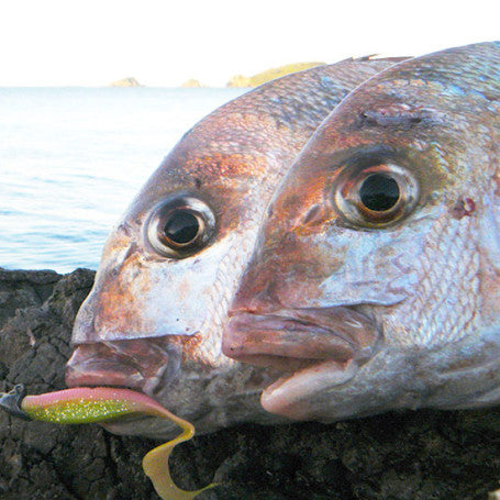 Snapper softbaiting how to turn a slow day fishing into a good day 