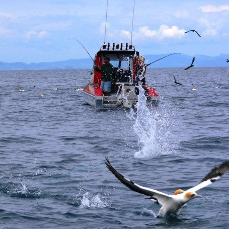 Spring Has Sprung and the workups are here!