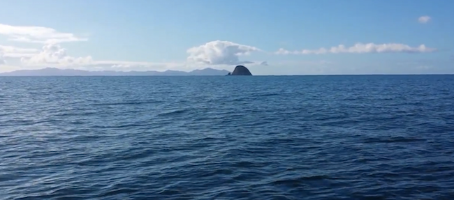 How to catch big Winter snapper out wide with softbaits