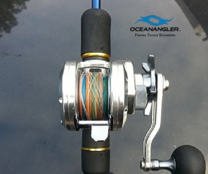 Noisies and surrounding Islands on Sunday