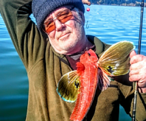 Gurnard fishing in the Manukau on Sunday, 12 July 2015