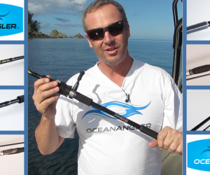 Paul explains the Microwave fishing rod