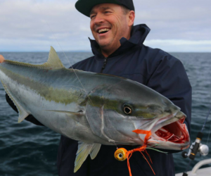 Workups and Kingfish off Coromandel