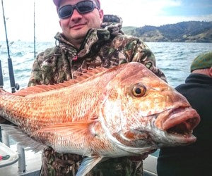 More big snapper on 130gr jigs