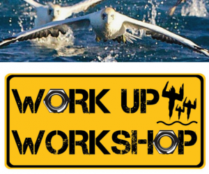 Work-up, Work Shop Thursday August 13th at 7pm