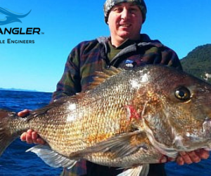 Little Barrier 9th and 10th August