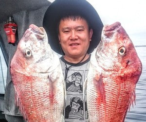 Fishing is starting to hot up now