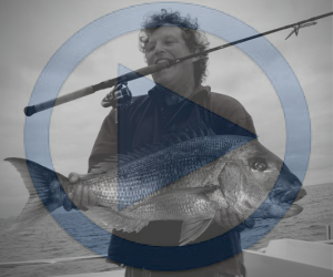 How to catch more fish on Soft baits