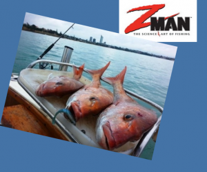 Taka Cliffs on a Rainy Sunday