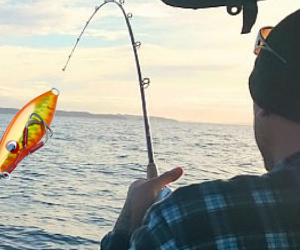 Chasing the spring workups