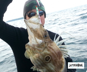 How to catch John Dory in Auckland