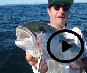 Kingfish Catching-Jitterbugs and Jitterbug Rod in action