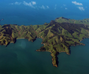 Snaps On The Inside Of Ponui