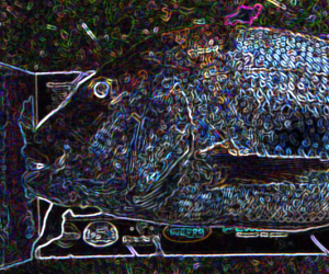 How to catch Big snapper off the rocks