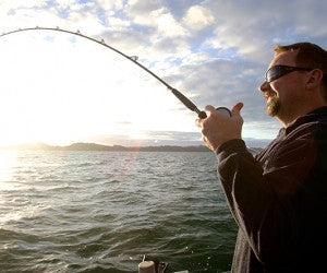 Winter Strayline: The Key to Success