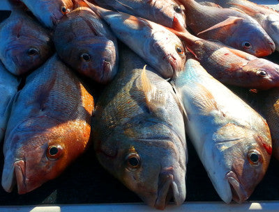 42 Metres NE of Durville