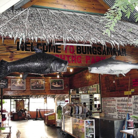 Fishing for Catfish in Bangkok