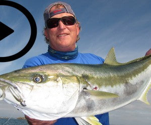 Where to catch Kingfish