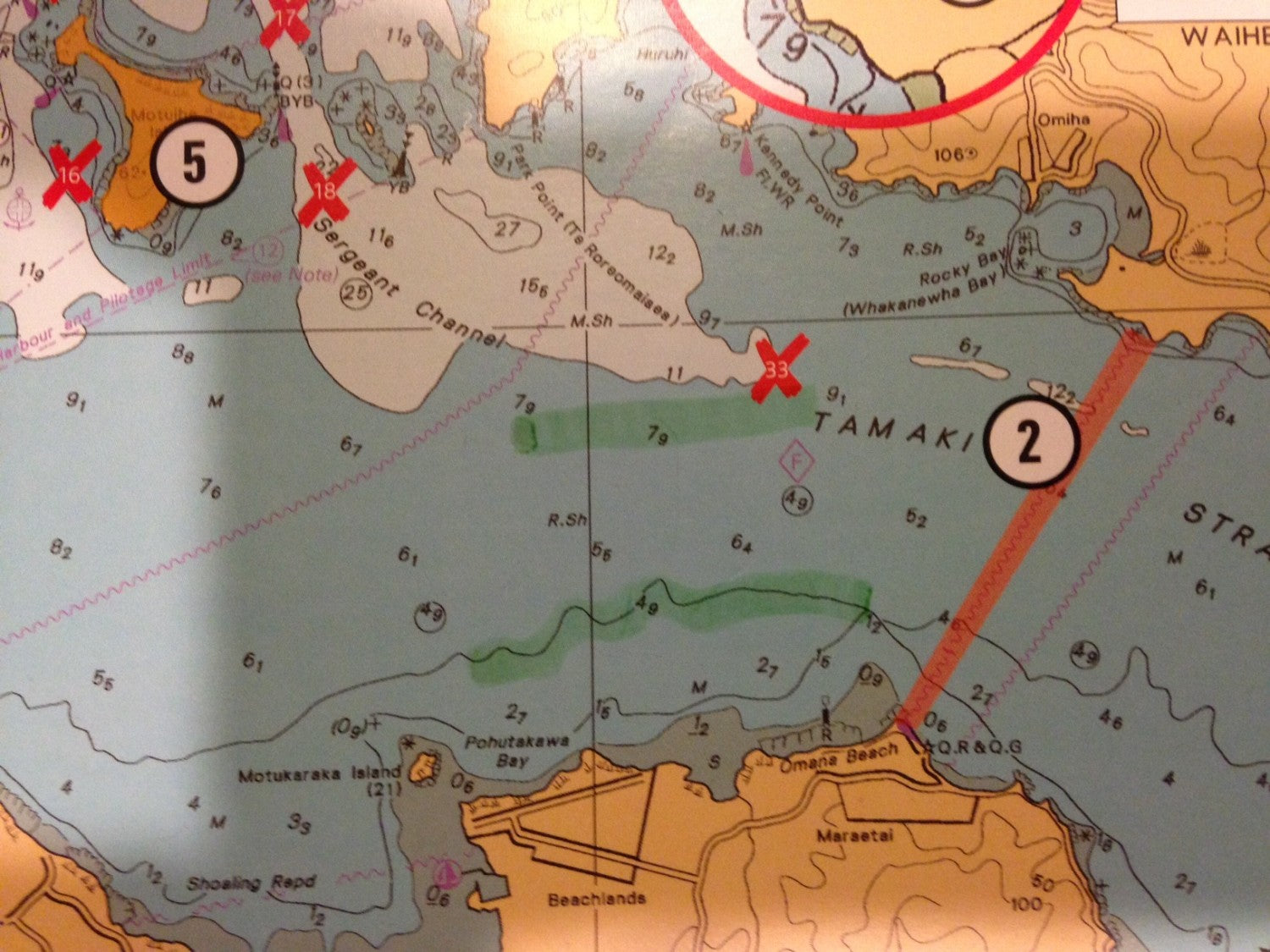 A Couple of Excellent Morning Sessions in the Tamaki Strait Shallows.