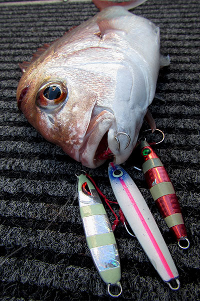 Fish Back on the Bite