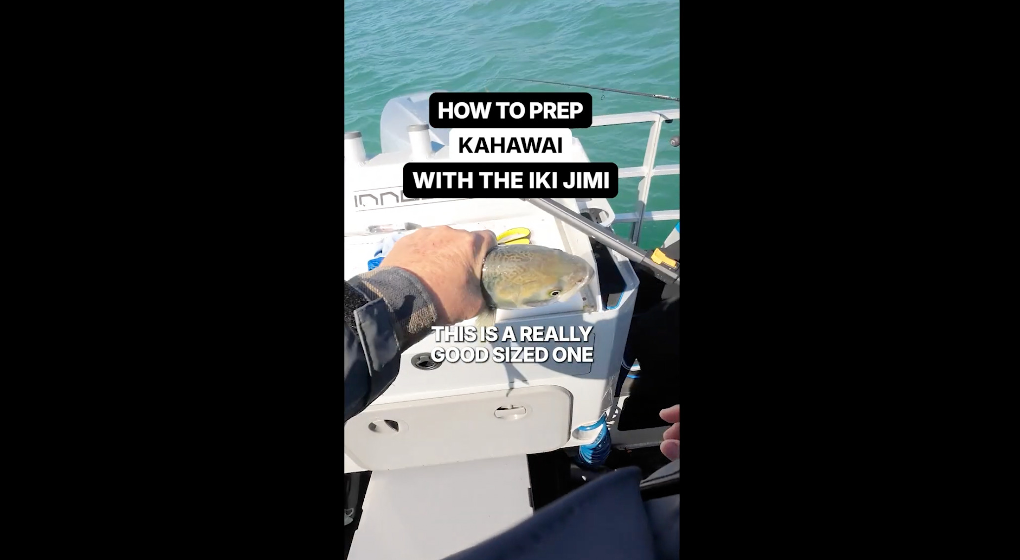Video preview