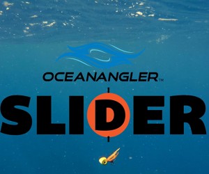 How to fish Sliders correctly