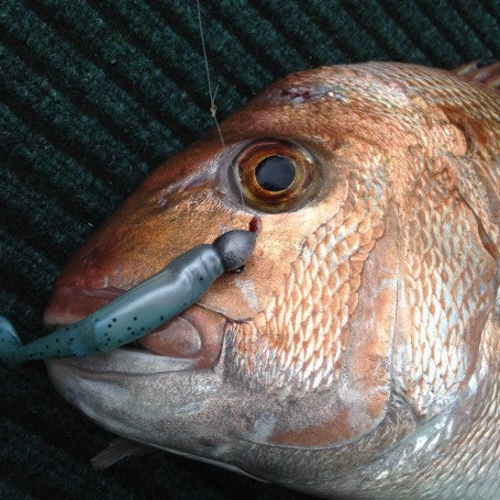 Fishing Report Feb 20th 2015