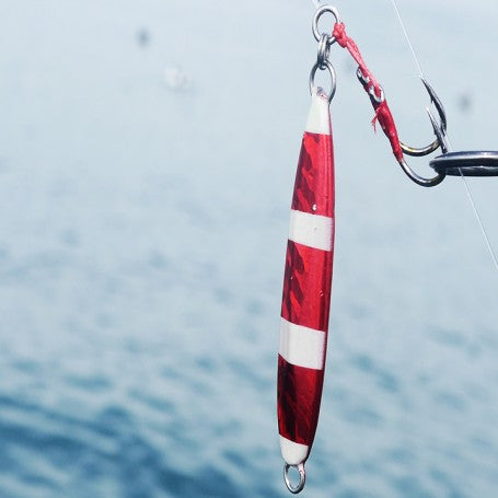 Anchovy Locator Video