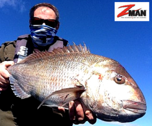 How to catch Snapper in the Shallows